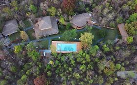 Saj In The Forest, Pench